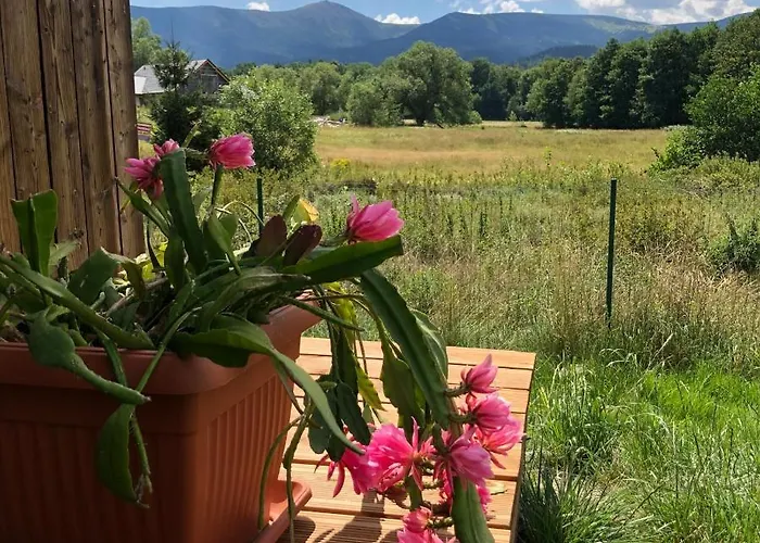 Holiday home Stodola *